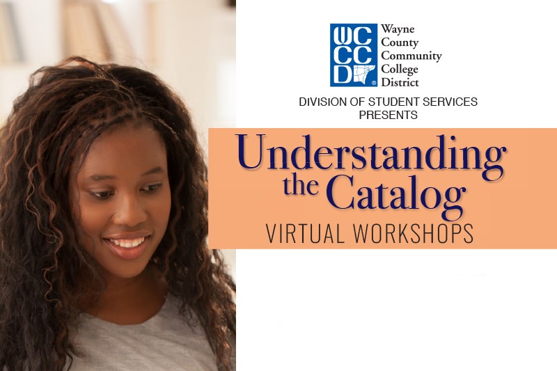 Virtual Series Understanding the Catalog